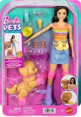 Barbie Paten Eğlencesi ve Sevimli Köpek Oyun Seti-Kahverengi Saçlı-  JMJ45