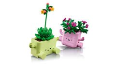 11506 LEGO® Botanicals Sallanan Bitkiler