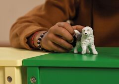 İngiliz Çoban Köpeği (13968)