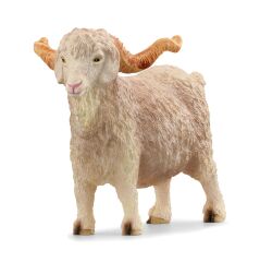 Angora Keçisi (13970)