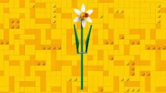40747 LEGO® Iconic Nergis