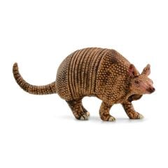 Armadillo (14874)