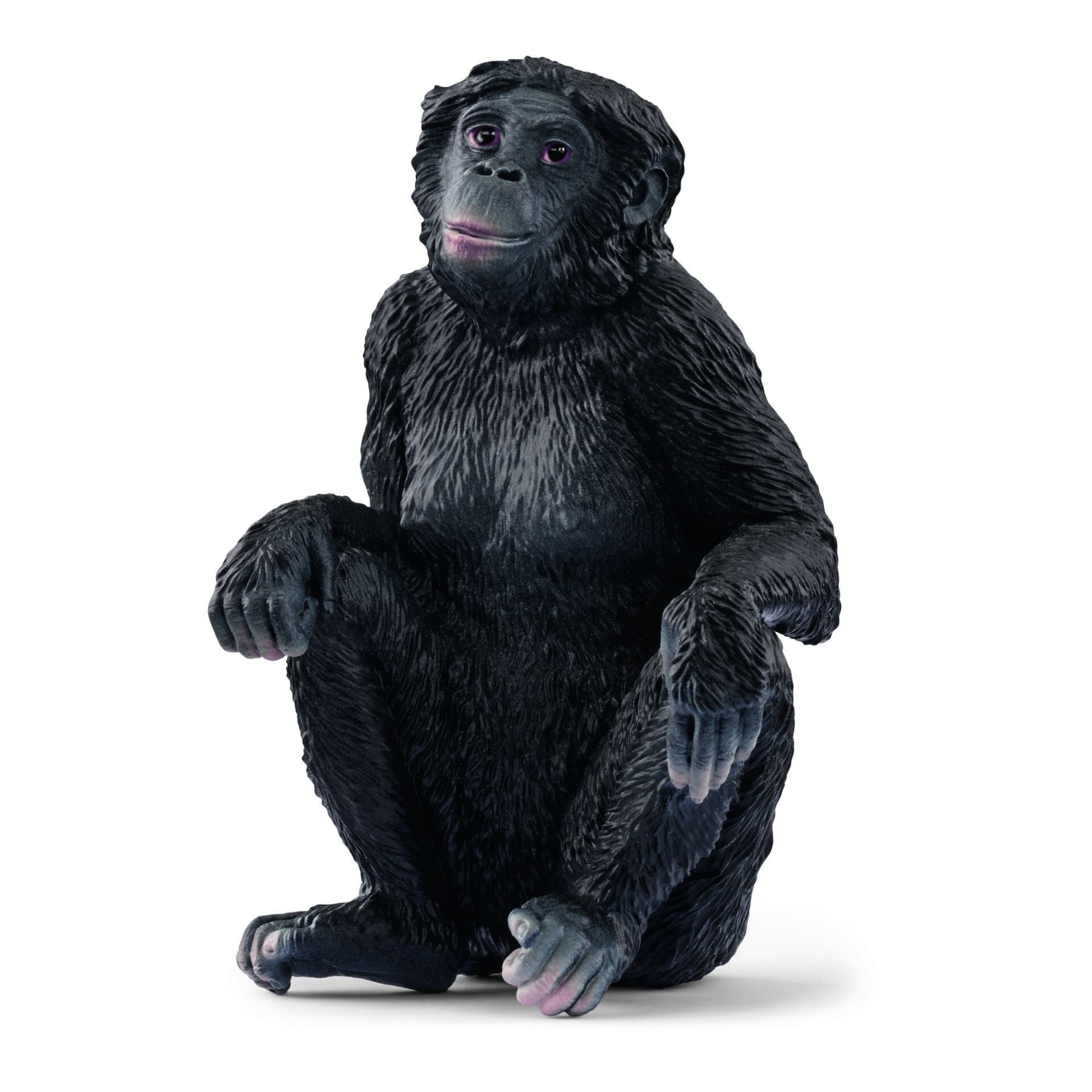 Dişi Bonobo (14875)
