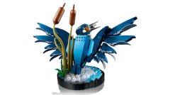 10331 LEGO® Icons Yalıçapkını Kuşu