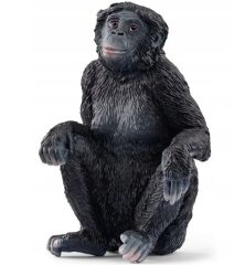 Bonobo (17088)