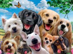 300 Parça Puzzle Tatlı Köpekler (132287)
