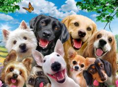 300 Parça Puzzle Tatlı Köpekler (132287)