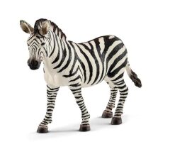 Dişi Zebra (17094)