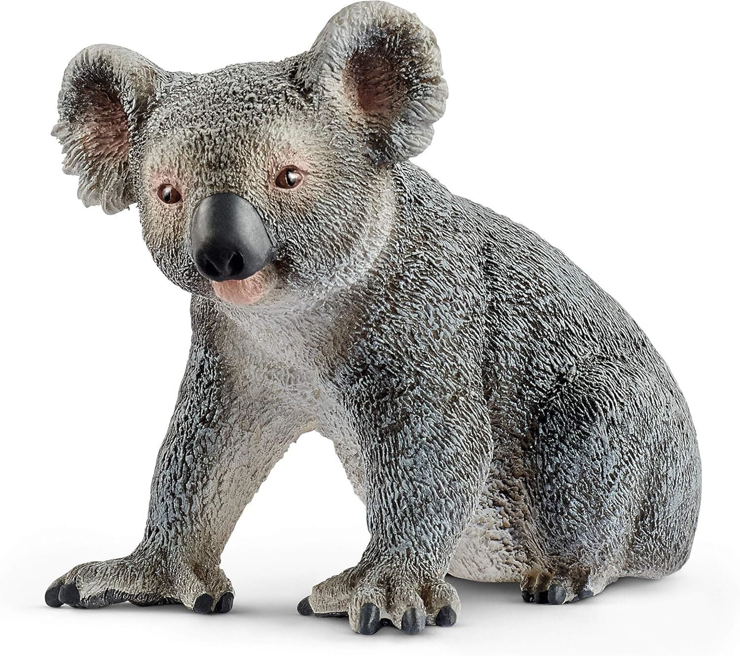 Koala (17096)