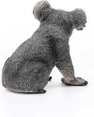 Koala (17096)