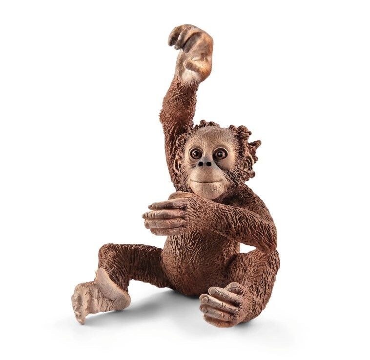 Yavru Orangutan (17102)