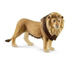 Erkek Aslan (17107)