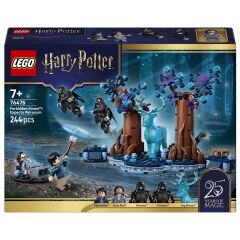 76475 LEGO® Harry Potter Yasak Orman: Expecto Patronum