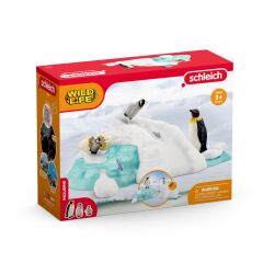 Penguen Ailesi (42661)