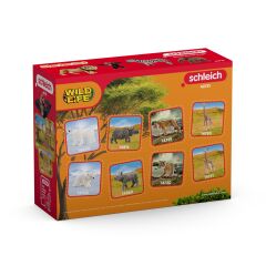 Afrika Başlangıç Seti (42721)