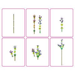 GPH-5UC00000 MAX GUL SURPRIZI 30