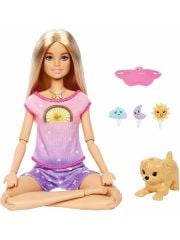 Barbie Meditasyon Yapıyor Seti HHX64