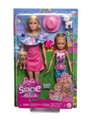 Barbie ve Stacie Kız Kardeşler İkili Set HRM09
