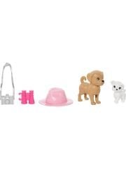 Barbie ve Stacie Kız Kardeşler İkili Set HRM09