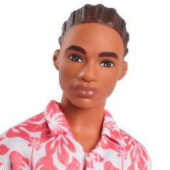 Barbie Yakışıklı Ken Bebekler DWK44-HYT99