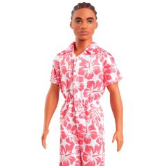 Barbie Yakışıklı Ken Bebekler DWK44-HYT99