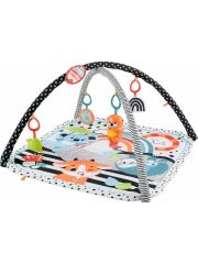 Fisher Price Neşeli 3ü 1 Arada Jimnastik Merkezi HBP41