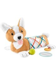 Fisher Price 3'ü 1 Arada Köpekçik Uzanma Yastığı HJW10