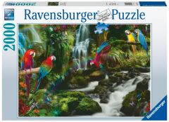 Ravensburger 2000 Parçalı Puzzle Renkli Papağanlar (171118)