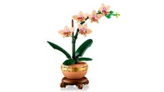 10343 LEGO® Botanicals Mini Orkide