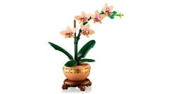 10343 LEGO® Botanicals Mini Orkide
