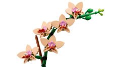 10343 LEGO® Botanicals Mini Orkide