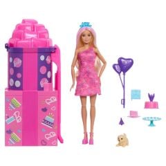 Barbie Party Unboxed Parti Sürprizi Doğumgünü- JKF66