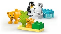10442 LEGO® DUPLO Vahşi Hayvan Aileleri: Penguenler ve Aslanlar