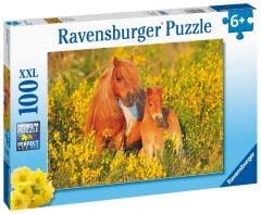 100 Parça Puzzle Taylar (132836)