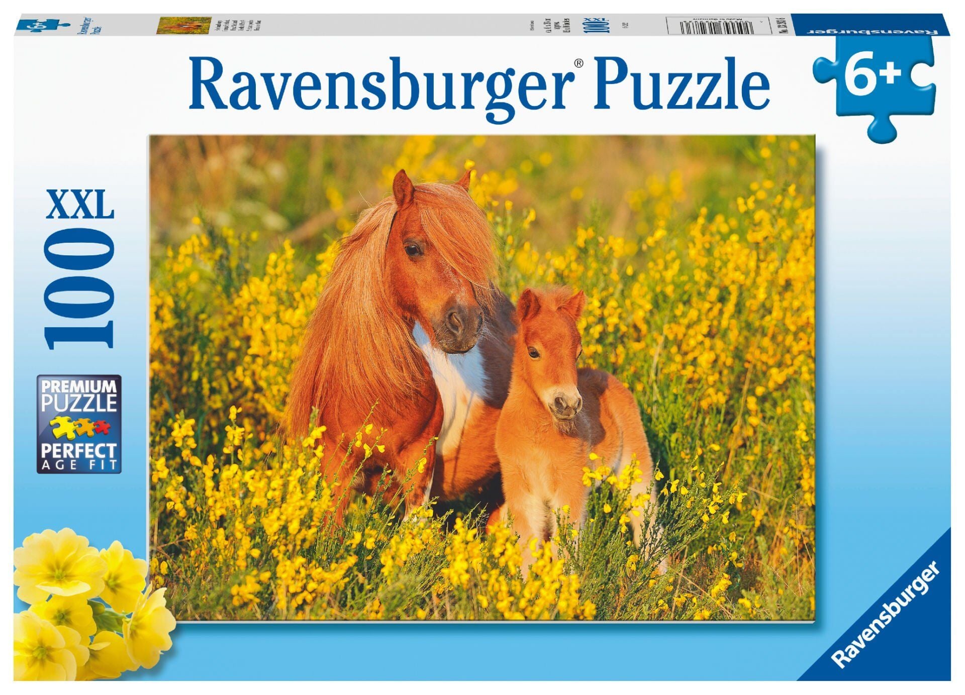 100 Parça Puzzle Taylar (132836)