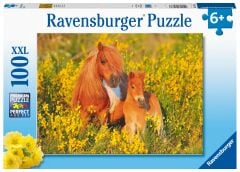 100 Parça Puzzle Taylar (132836)