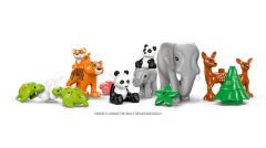 10446 LEGO® DUPLO 3’ü 1 Arada Vahşi Hayvan Aileleri