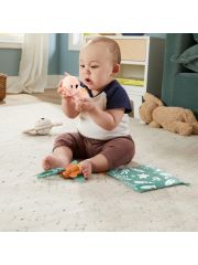 Fisher-Price Duyuları Harekete Geçiren Oyun Seti HRB17