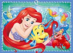 4 in Box Puzzle Walt Disney Prenses (068579)