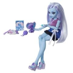 Monster High Güzellik Sırları JKN50 Abbey Bominable JHK44