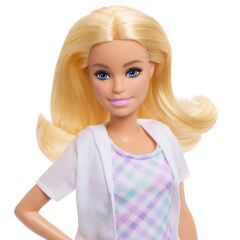 Barbie Kariyer Bebeği Diş Hekimi-  JMK14