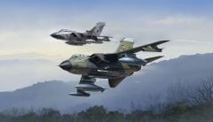 Revell Model Set Tornado 50th Anniversary Twinpack (63801)