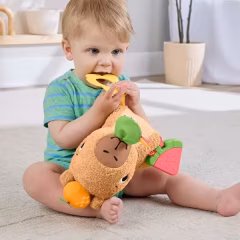 Fisher Price Yumuşak Kapibara-  HYR54
