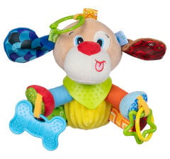 KÖPEK TEDDY - P206100