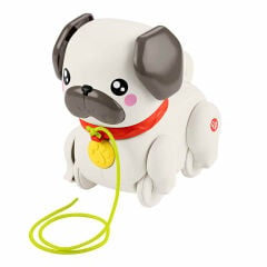 Fisher Price Sesli Minik Dostumla Yürüyüş-  HTW94