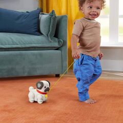 Fisher Price Sesli Minik Dostumla Yürüyüş-  HTW94