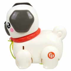 Fisher Price Sesli Minik Dostumla Yürüyüş-  HTW94