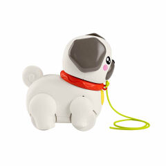 Fisher Price Sesli Minik Dostumla Yürüyüş-  HTW94