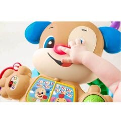 Fisher Price Türkçe ve İngilizce Eğitici Köpekçik Yürüteç-  FTG10