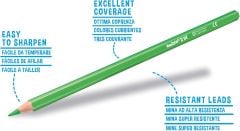 TİTA KURU BOYA KALEMİ MAXİ GÖKKUŞAĞI SET 80'Lİ